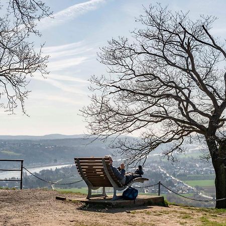 Studio-Loft Siebengebirge Westerwald Erpel エクステリア 写真